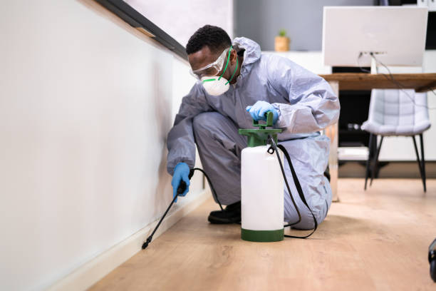 Best Bed Bug Extermination  in Clemmons, NC